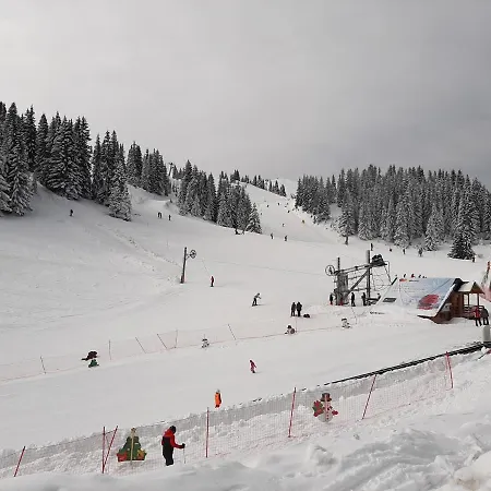 Zlatni Javor, 408 Aparthotel